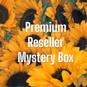 Premium Mystery Bundle: Free People, Coach, J Brand, House of Harlow Sizes XS-XL